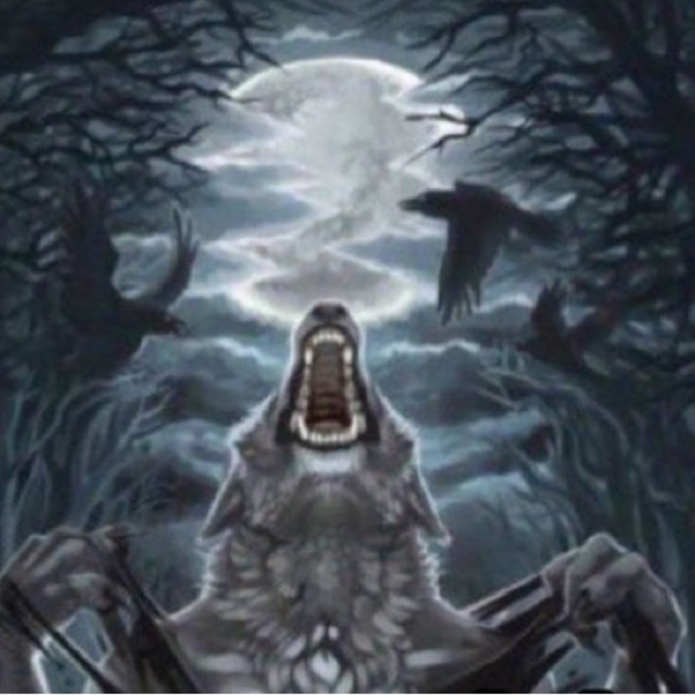 Meet your Posher, Elena